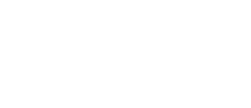 SfN Logo